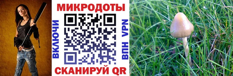 omg как войти Шацк Галлюциногенные грибы MAGIC MUSHROOMS купить